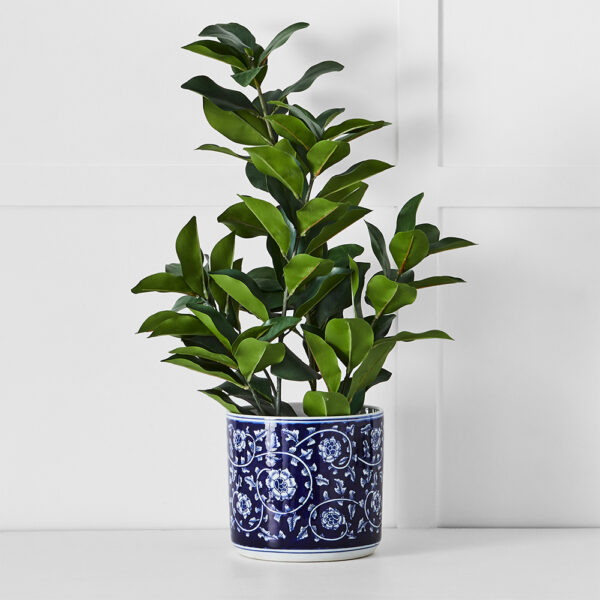 Anise Planter
