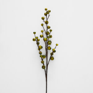 Berry Stem
