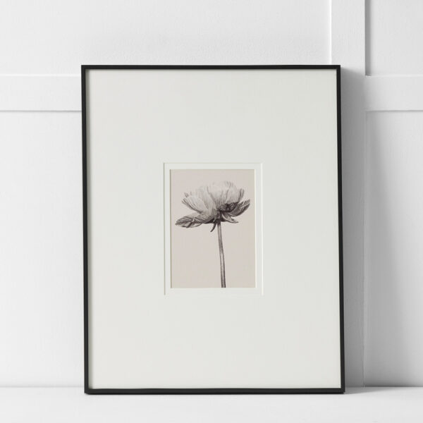 Blooming Print 40x50