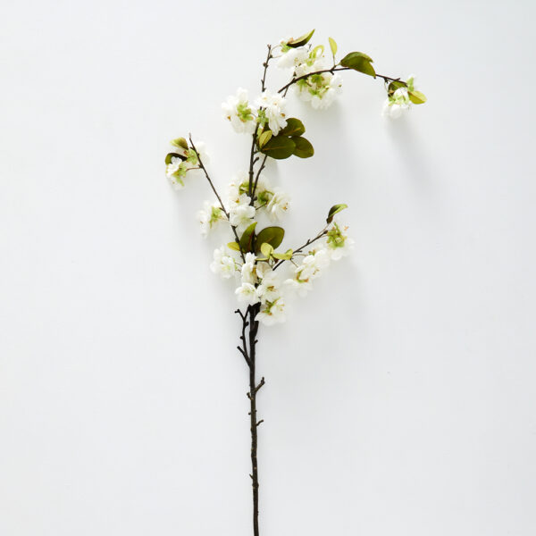 Blossom Stem