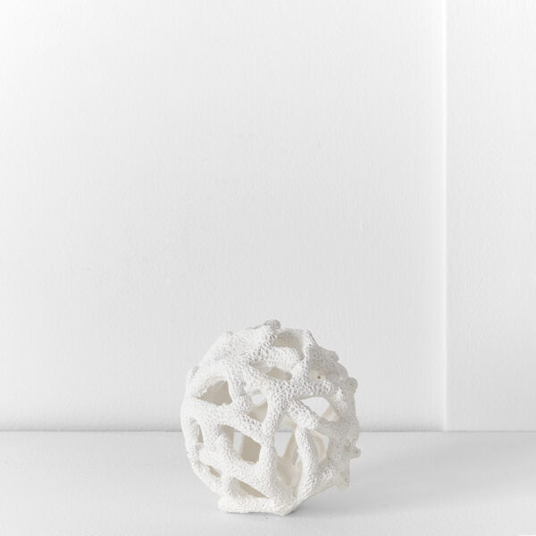 Ecology Reef Ball