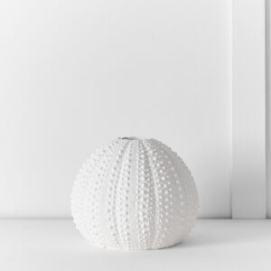 Ecology Reef Vase S
