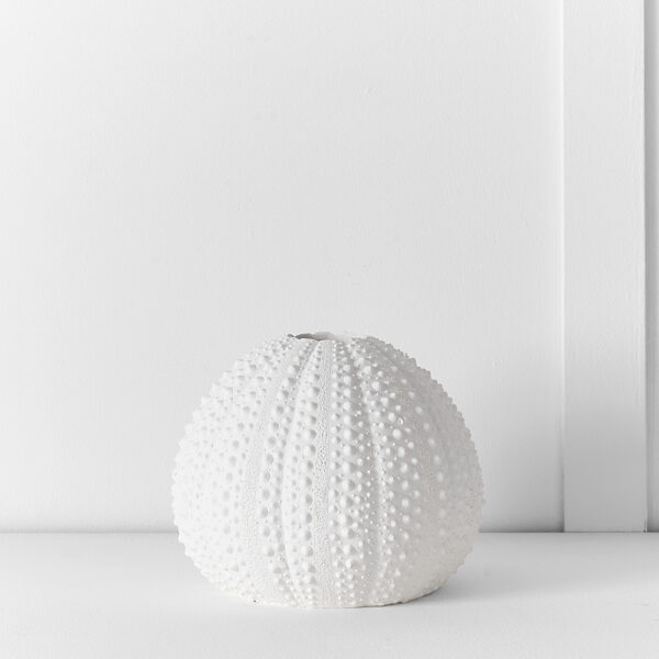 Ecology Reef Vase S