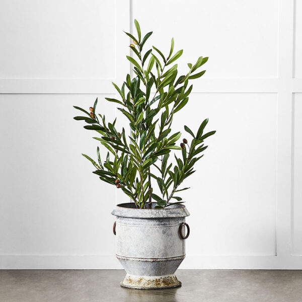 Gruyere Flowerpot S