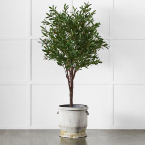 Gruyere Flowerpot XL