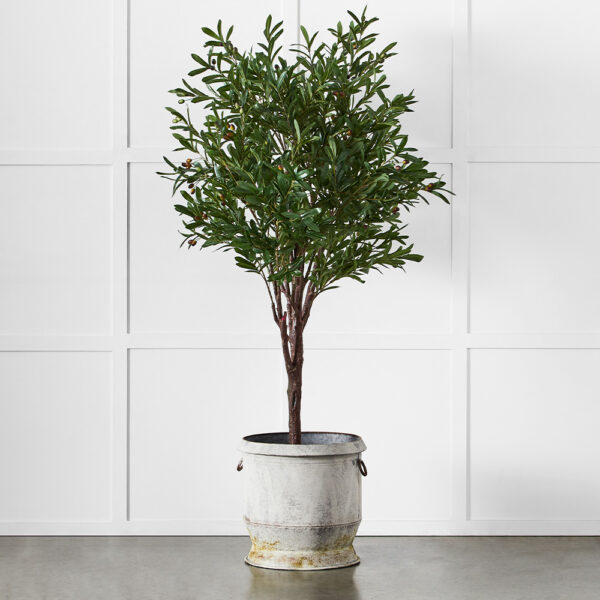 Gruyere Flowerpot XL