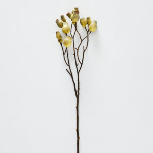 Gumnut Stem