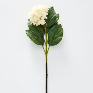 Hydrangea Flower Stem