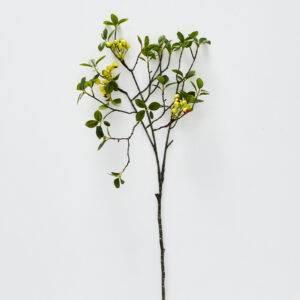 Laurel Berry Stem