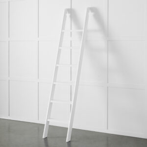 Obernai Library Ladder
