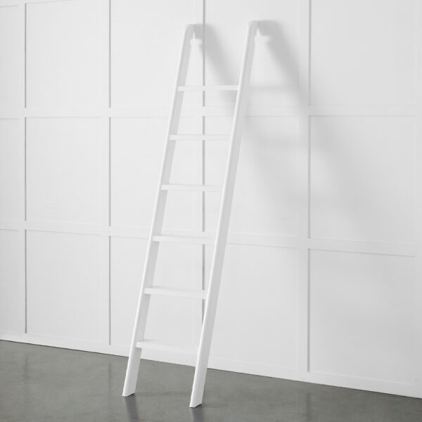 Obernai Library Ladder