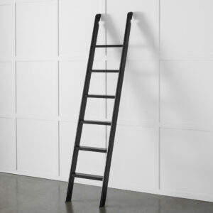 Obernai Library Ladder