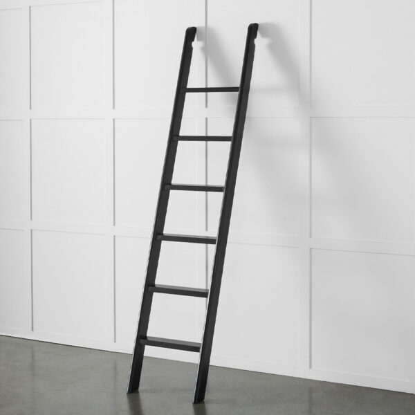 Obernai Library Ladder
