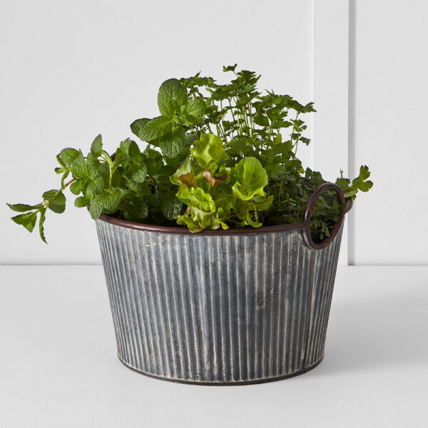 Palmer Tub M