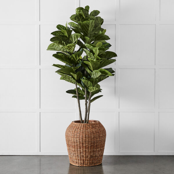 Rafael Planter