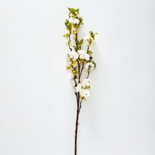 Sakura Blossom Stem